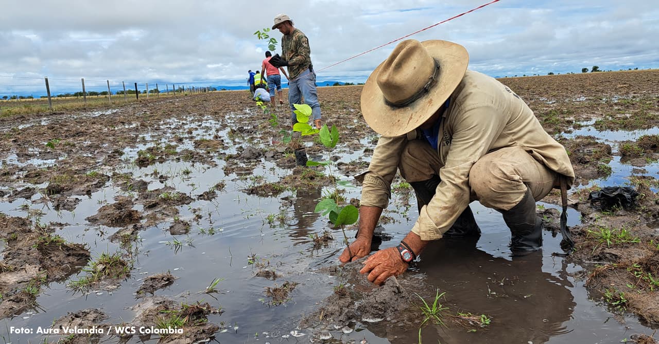 IMPLEMENTACIÓN DE ACCIONES DE RESTAURACIÓN Y GOBERNANZA AMBIENTAL